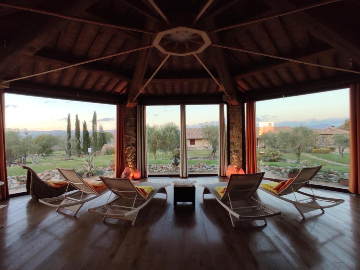 Agroturismo Bio Agriturismo La Bell'antiglia Montemerano
